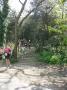 gal/Duathlon Saint-Jean de Monts/_thb_P1050518.JPG